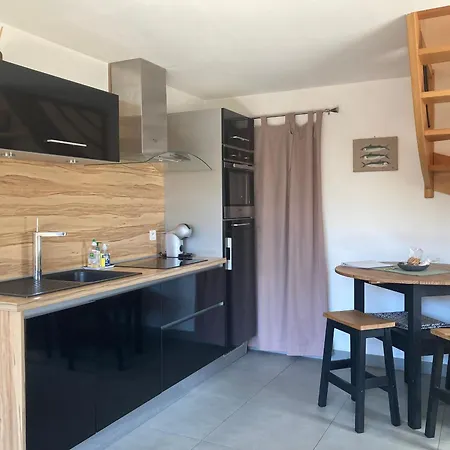 Charmante Maison Renovee Au Calme Avec Jardin Privatif, A 500m Des Plages Et Proche Commerces - Fr-1-306-1082 *