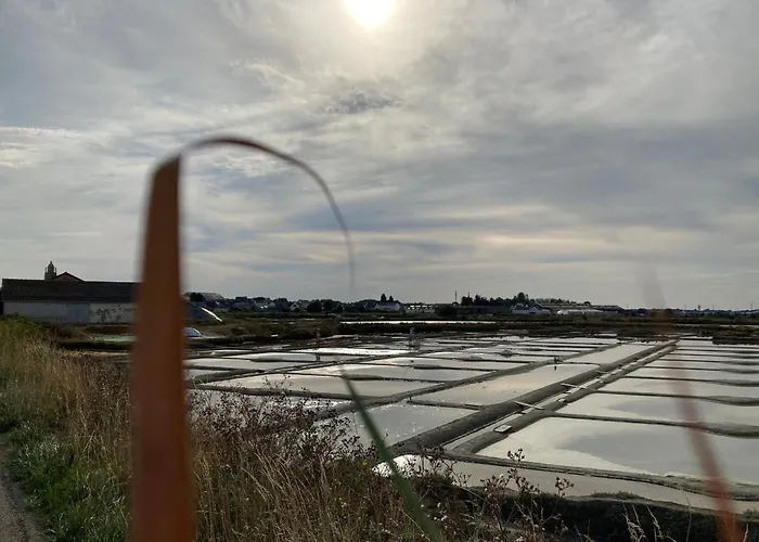 Charmante Maison Renovee Au Calme Avec Jardin Privatif, A 500m Des Plages Et Proche Commerces - Fr-1-306-1082 * Batz-sur-Mer