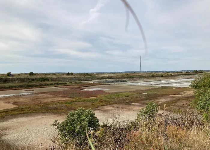 Charmante Maison Renovee Au Calme Avec Jardin Privatif, A 500m Des Plages Et Proche Commerces - Fr-1-306-1082 Dom wakacyjny Batz-sur-Mer