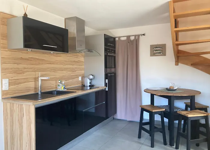 Charmante Maison Renovee Au Calme Avec Jardin Privatif, A 500m Des Plages Et Proche Commerces - Fr-1-306-1082 *