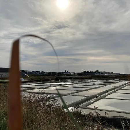 Charmante Maison Renovee Au Calme Avec Jardin Privatif, A 500m Des Plages Et Proche Commerces - Fr-1-306-1082 * Batz-sur-Mer