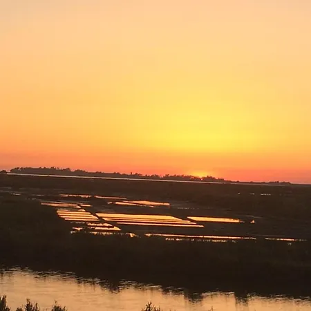 Prázdninový dům Charmante Maison Renovee Au Calme Avec Jardin Privatif, A 500m Des Plages Et Proche Commerces - Fr-1-306-1082 *